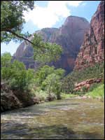 Virgin River in Zion National 